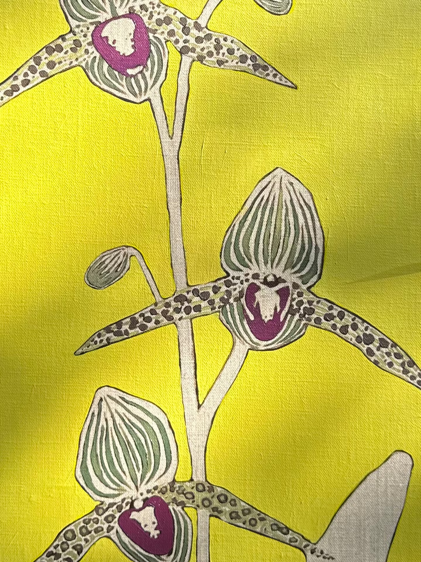 Original - Orchids 04