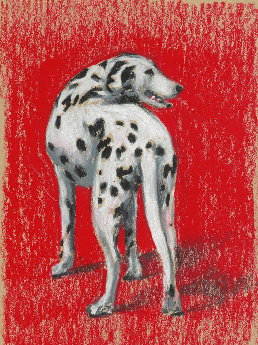 Original - Red Dalmatian