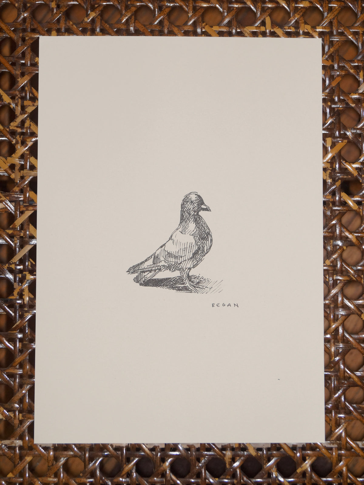 Original - Paris Pigeon