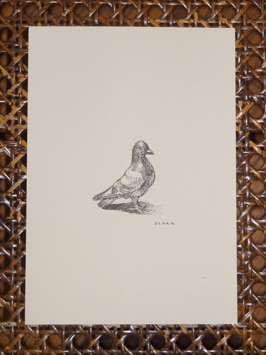 Original - Paris Pigeon
