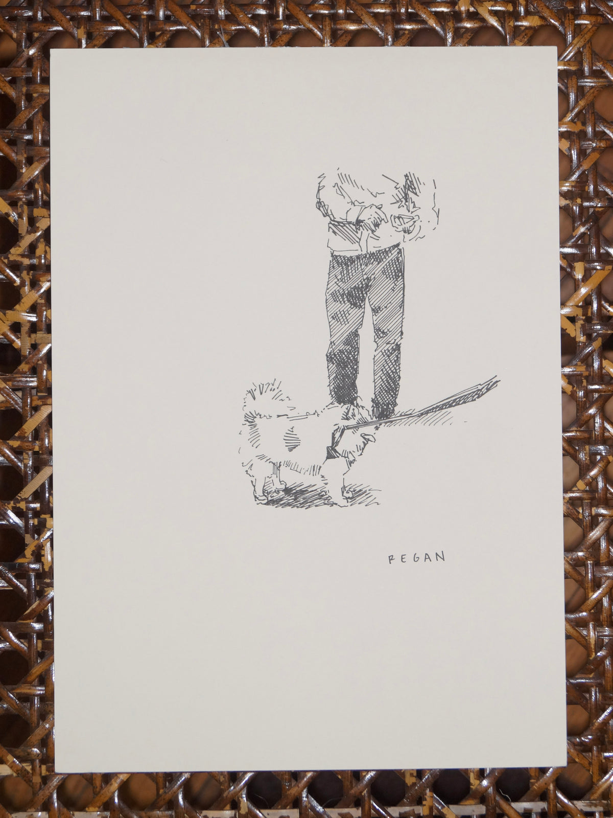 Original - Pomeranian