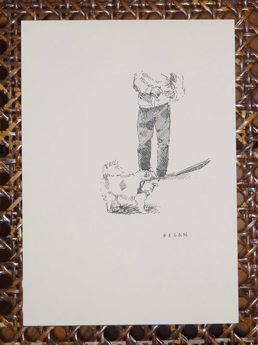 Original - Pomeranian