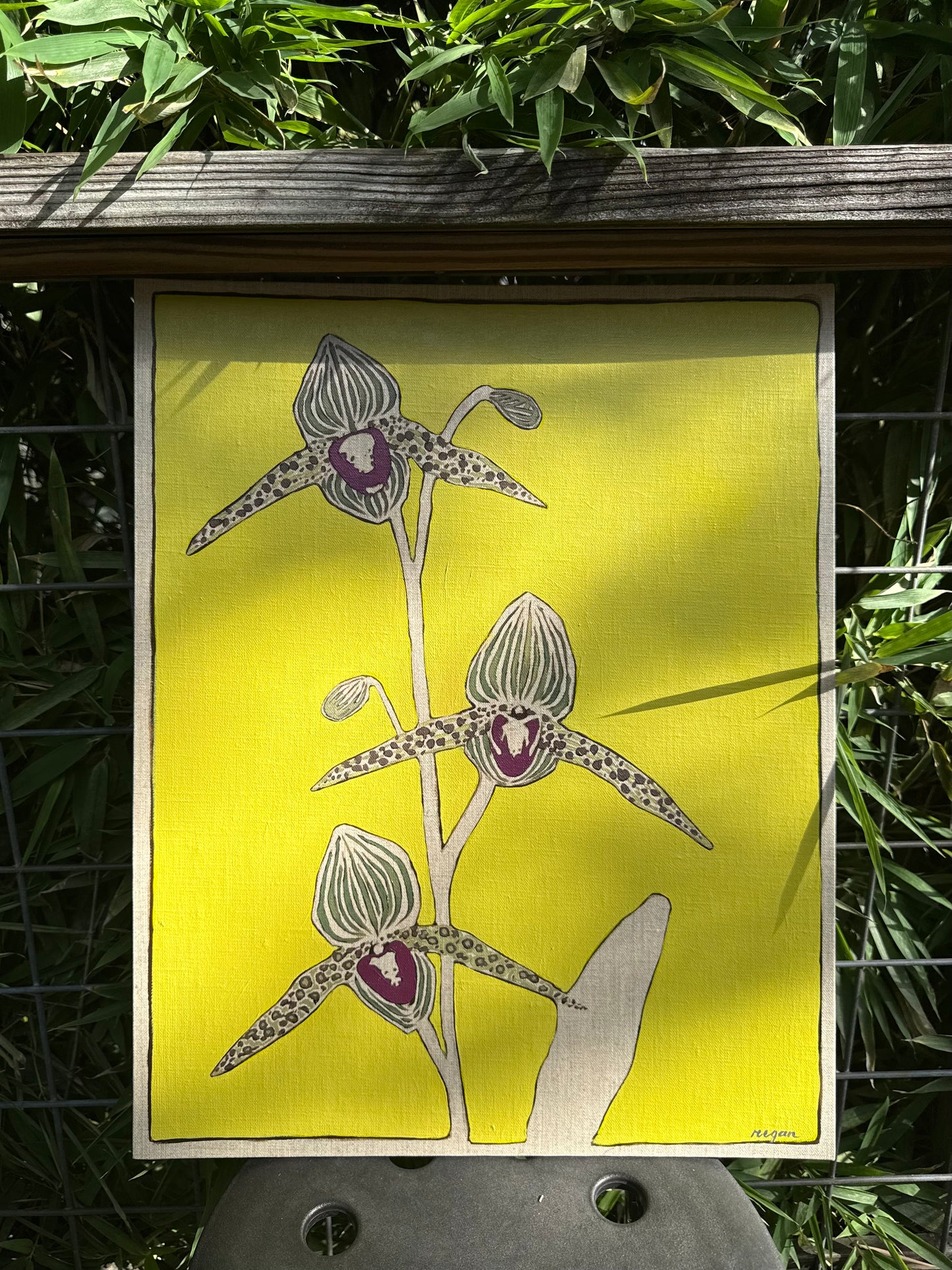 Original - Orchids 04