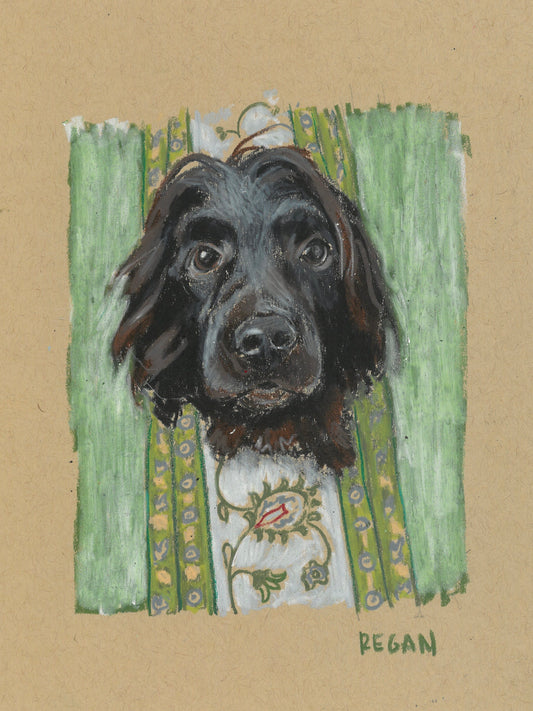 Original - Boykin