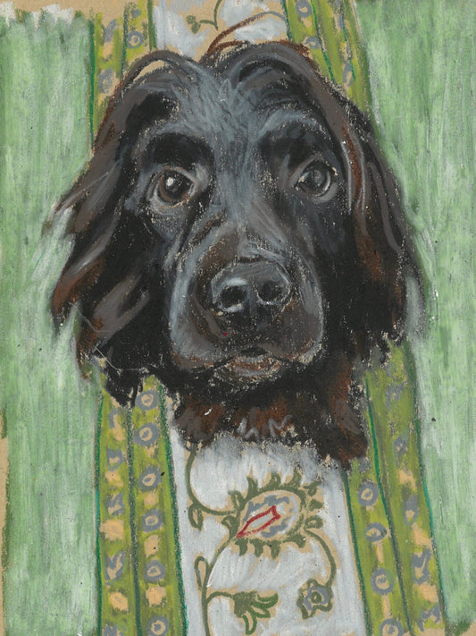 Original - Boykin